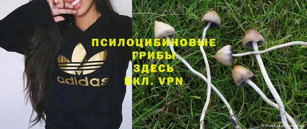 2c-b Алексин