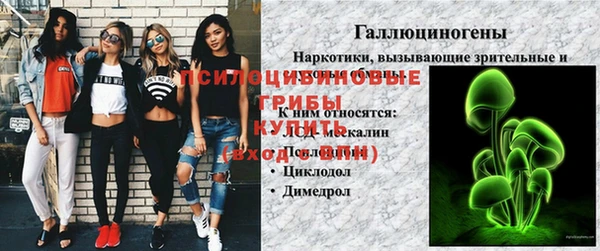 2c-b Алексин