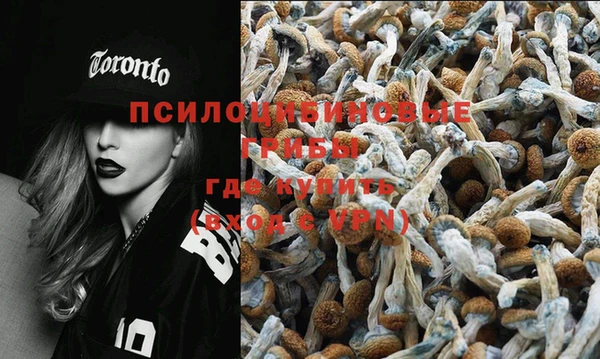 прущая мука Алексеевка