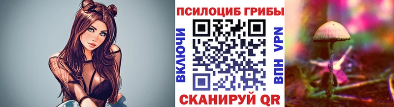 ОМГ ОМГ ссылка  Сясьстрой  Псилоцибиновые грибы Psilocybe 